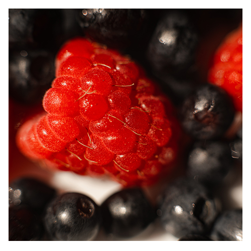Herbs, Fruits & Veggies