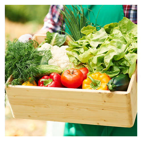 Herbs, Fruits & Veggies