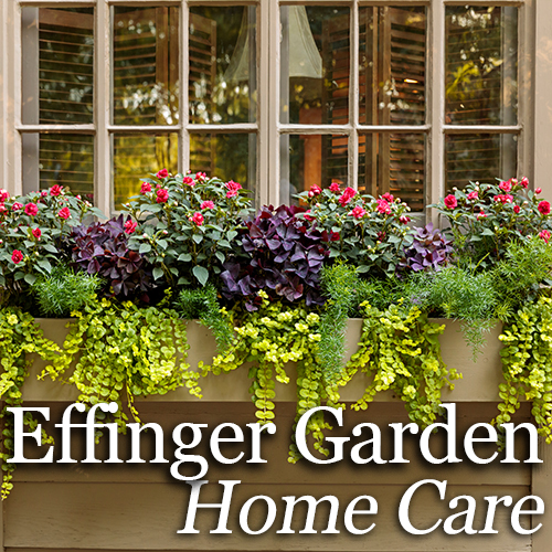 Effinger Garden Home Care 2025